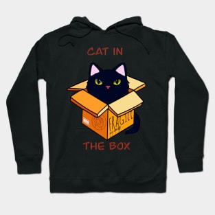 Cat in the box Hoodie